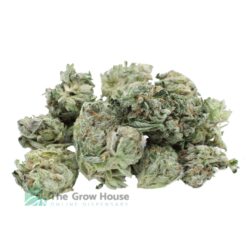 Ottawa Cannabis, The Grow House | Buy Weed Online at the #1 Dispensary