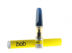 Bob Vape Kit – Blueberry (Indica) (600mg)