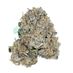 Shop Grow House &#8211; Buy Weed Online Dispensary, The Grow House | Buy Weed Online at the #1 Dispensary