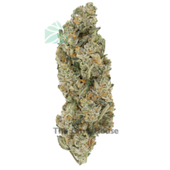Current Deals, The Grow House | Buy Weed Online at the #1 Dispensary