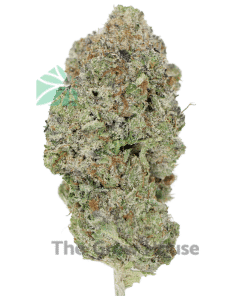 Marijuana ⛽ AAAA Holy Grail holy grail