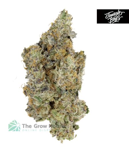 Buy Weed Online &#8211; The #1 Dispensary in Canada, The Grow House | Buy Weed Online at the #1 Dispensary