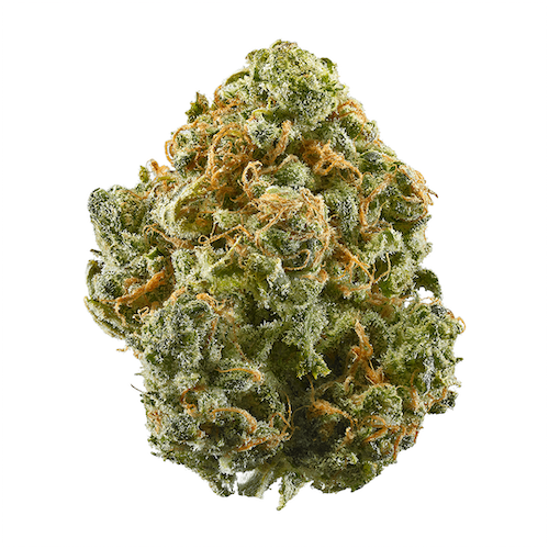Pei Cannabis Dispensary Canada, The Grow House | Buy Weed Online at the #1 Dispensary