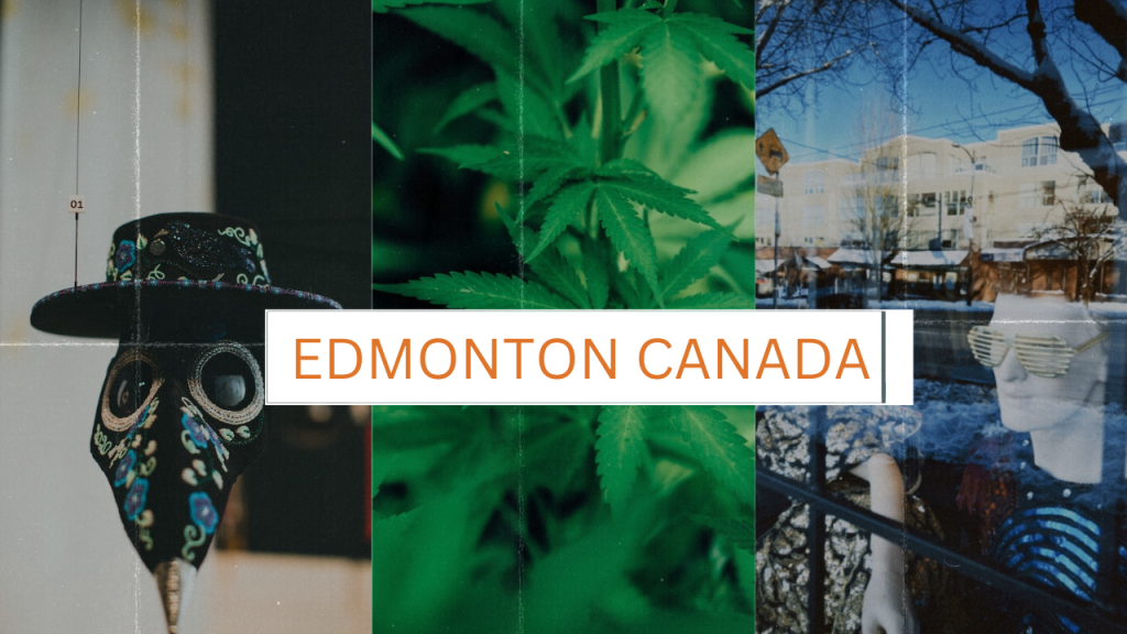 Edmonton weed Online Dispensary, The Grow House | Buy Weed Online at the #1 Dispensary