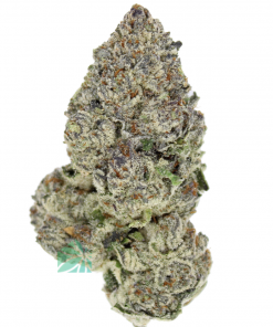 Best Sellers AAAA Grape Gasoline  By Paradise Exotic Quads 420