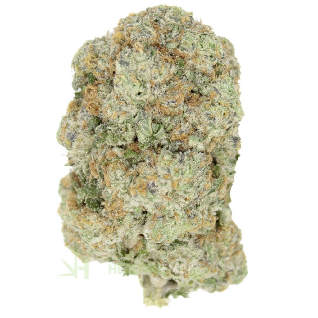Montreal Weed Dispensary, The Grow House | Buy Weed Online at the #1 Dispensary