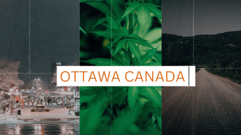 Ottawa Cannabis, The Grow House | Buy Weed Online at the #1 Dispensary