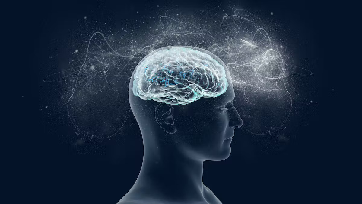 consciousness quantum physics | brain health