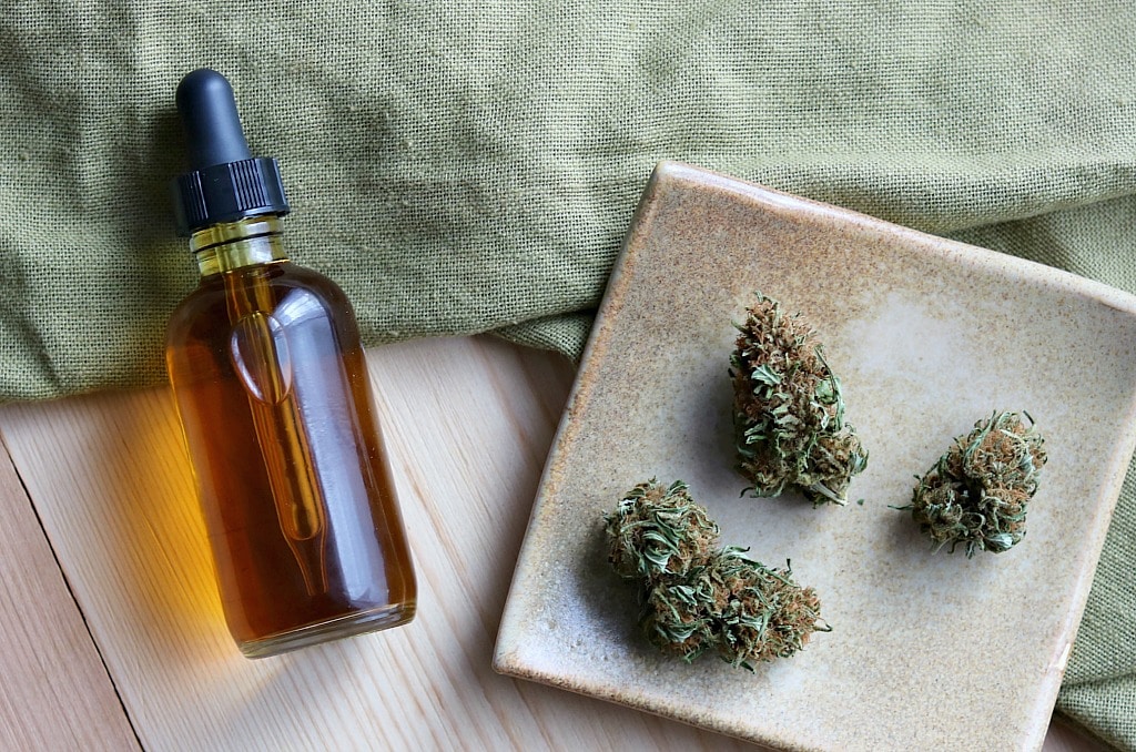 cannabis cbd tincture bottle with buds | Endocannabinoid system