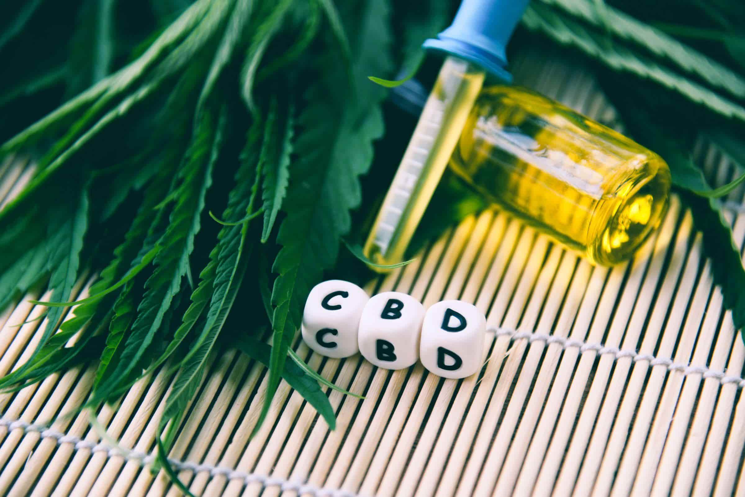 medical cannabis oil min | Endocannabinoid system