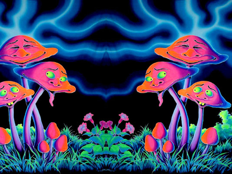 psychedelic mushroom | Mindfulness