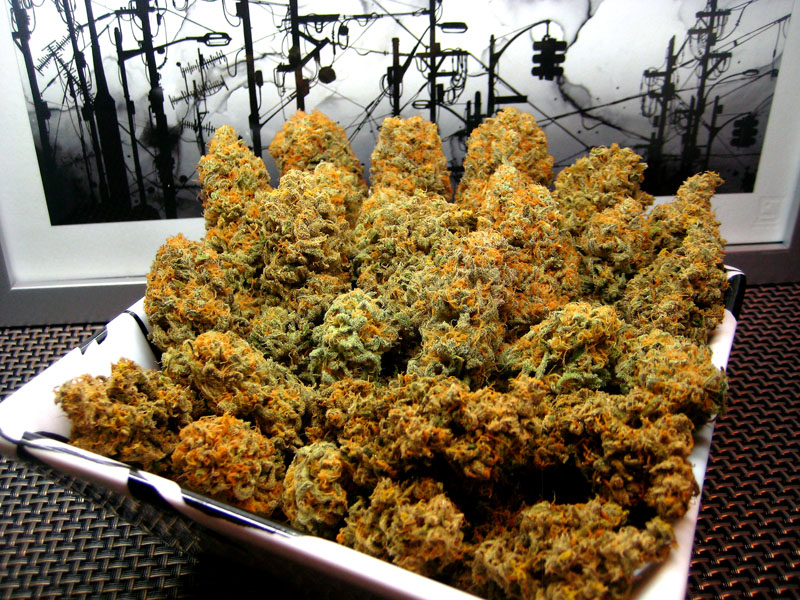 afghan kush bed the 420 shack | topicals
