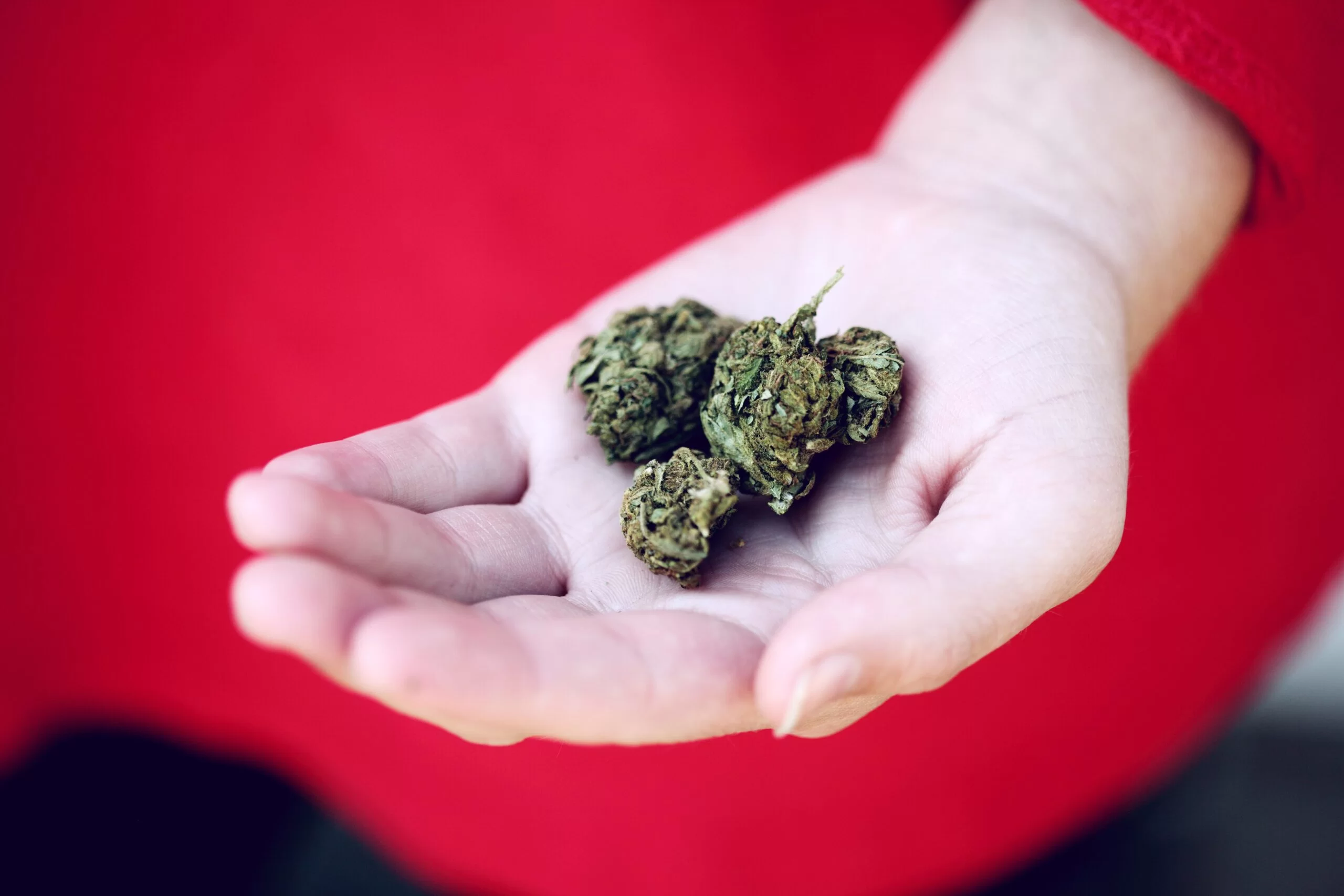 2020 09 25 Petitie dringt aan op medische cannabisverzekering voor Canadezen scaled 1 | high