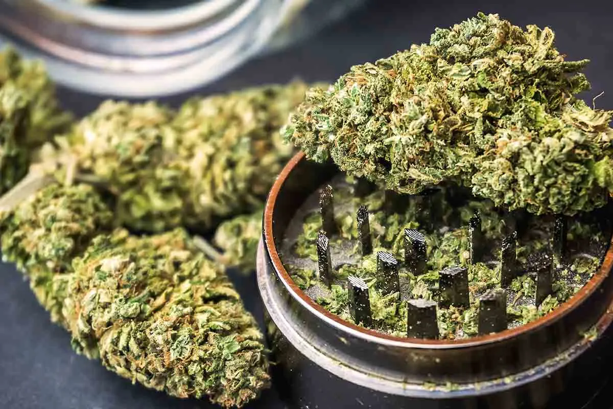 cannabis flower | Terpenes