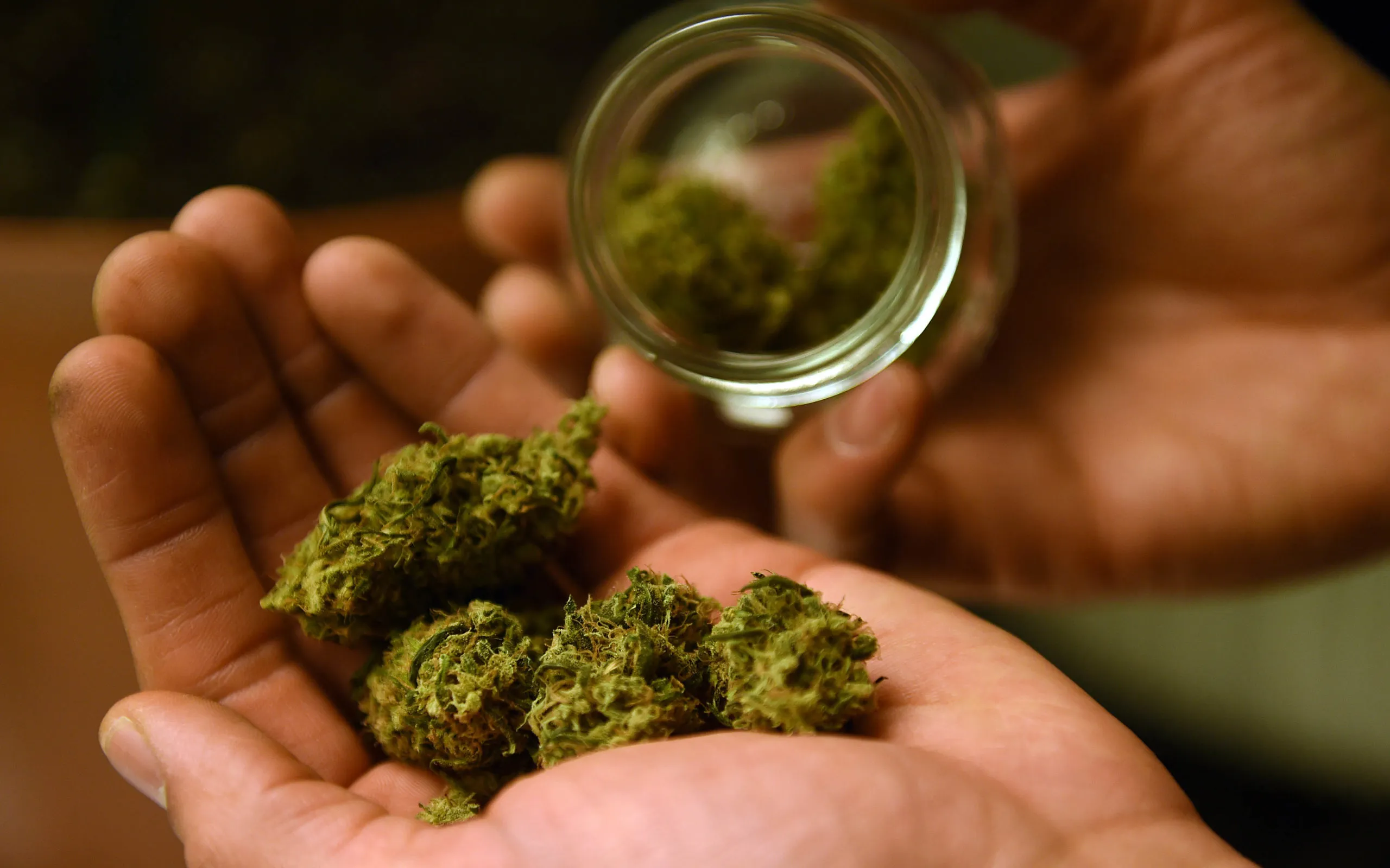 PotMatters MarijuanaUsePopularity scaled 1 | Canada