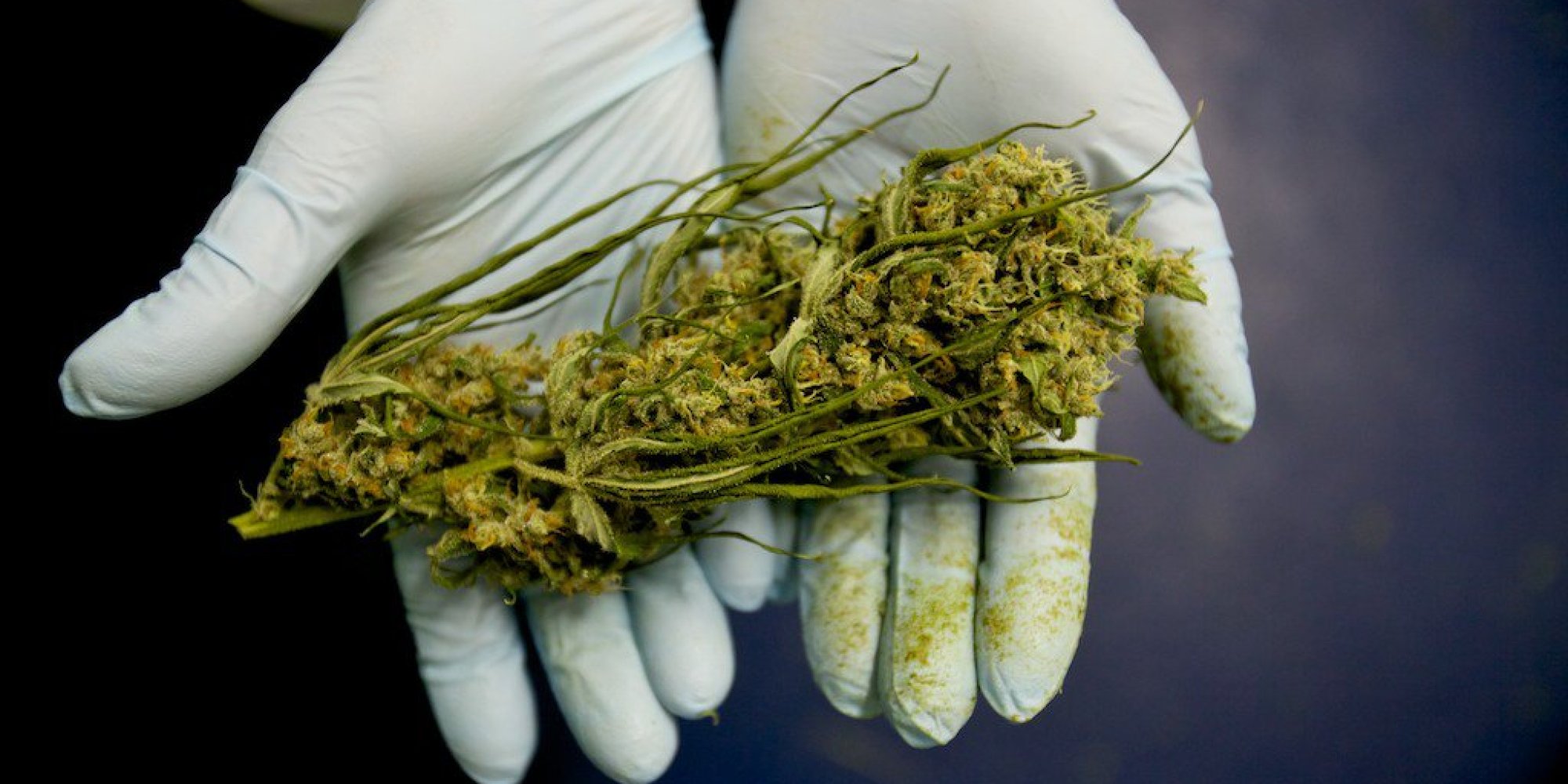 medical marijuana 1 | News
